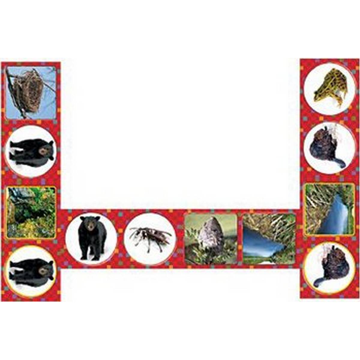 Domi-Knows Whose Home? Children's Game