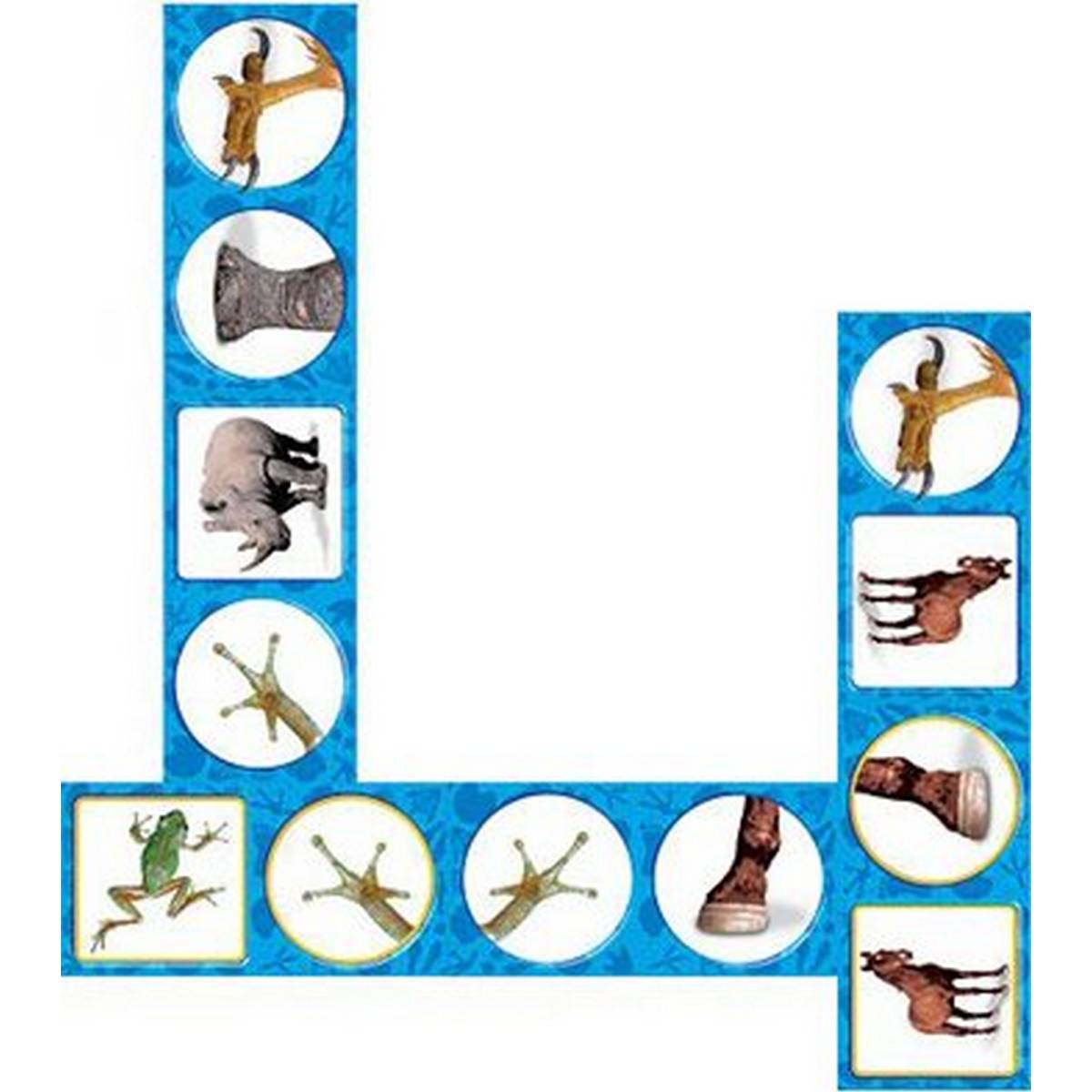 Domi-Knows Whose Toes? Children's Game