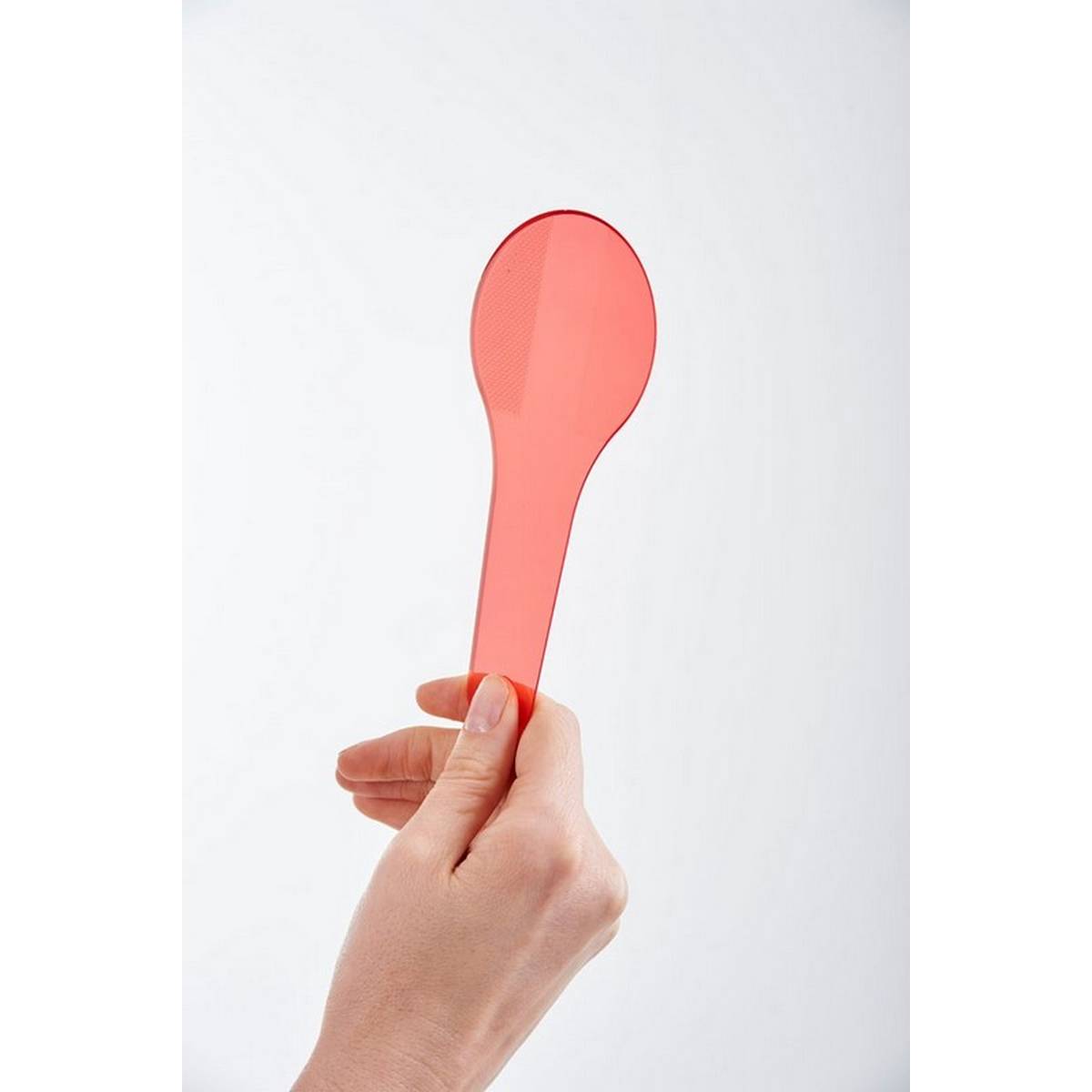 Colour Paddles Pack of 6
