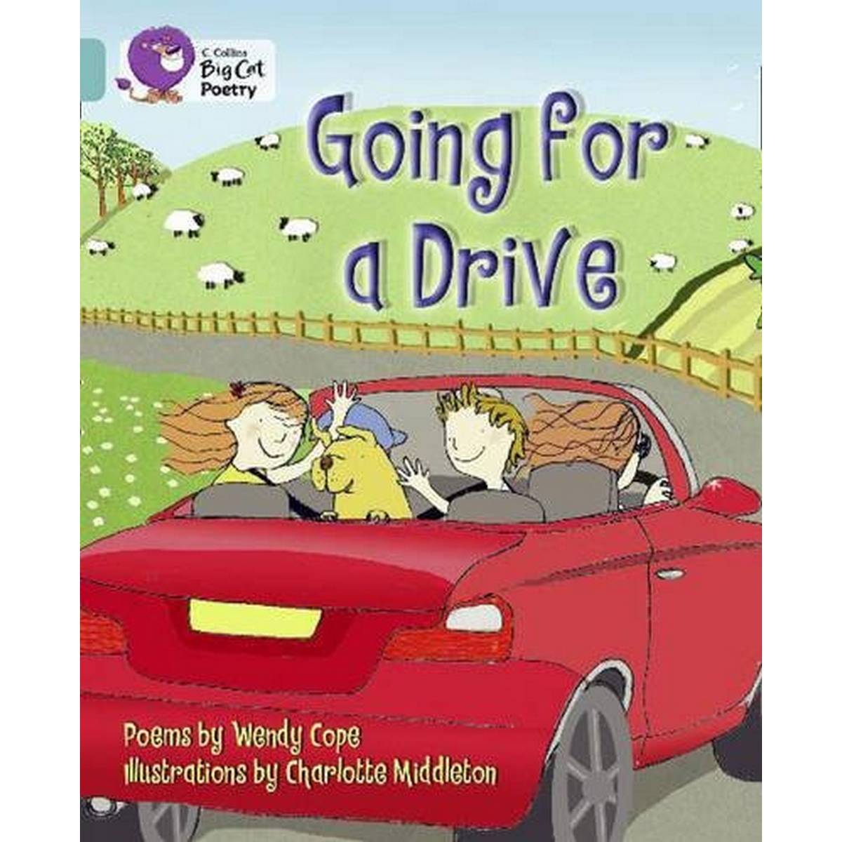 Big Cat Turquoise Going for a Drive