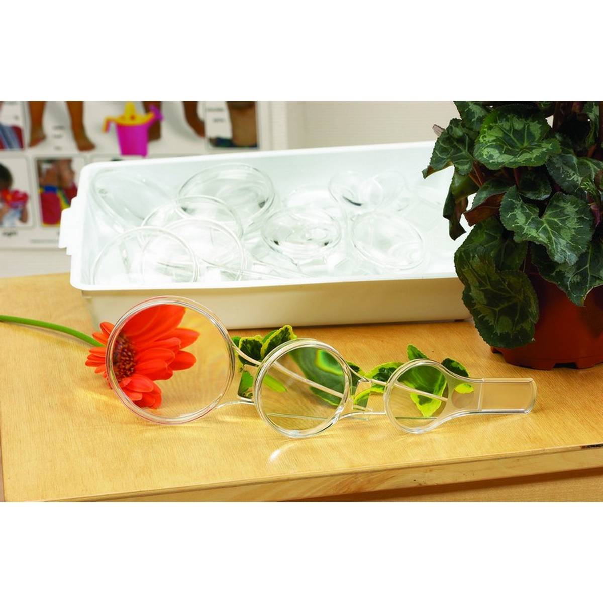 Magnifier 80mm (2x and 5x)