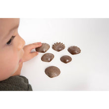 Eco Friendly Tactile Shells Pack of 36