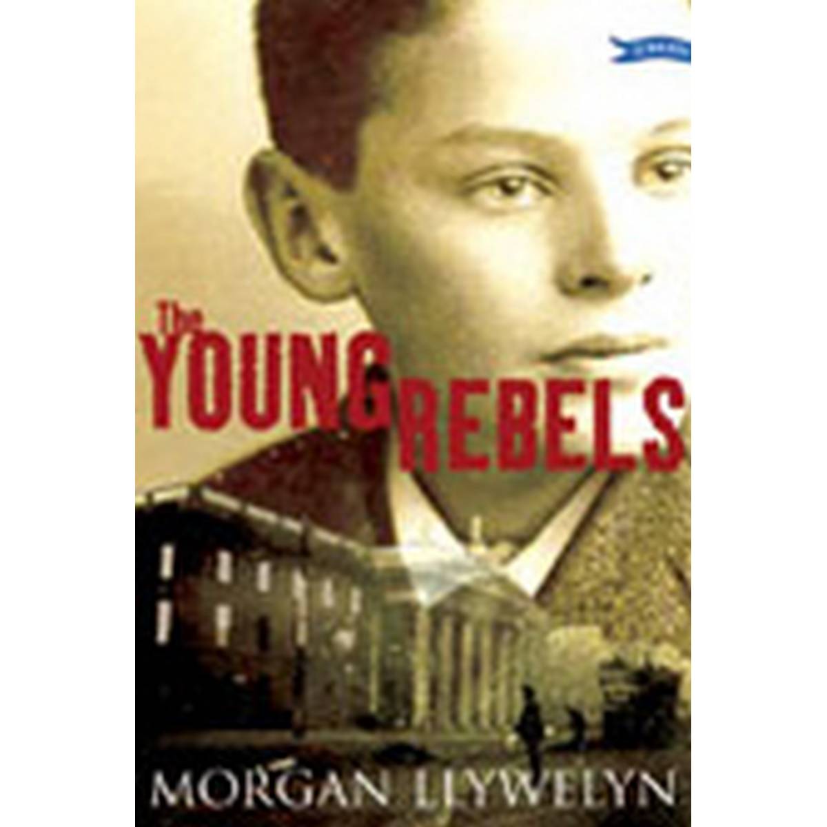 Young Rebels: (Easter 1916)