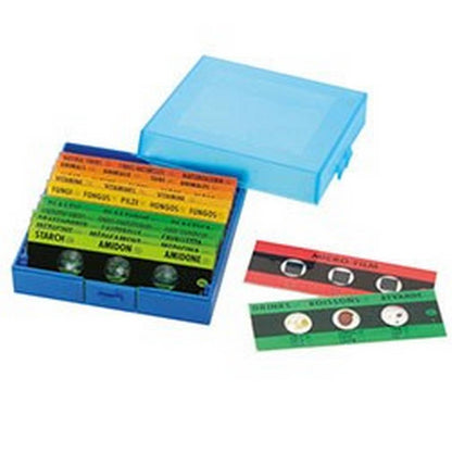 Prepared Micro-Slides - Pack of 12