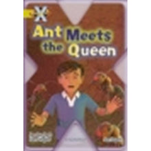 11A Project X: Lime Band: Underground Cluster: Pack of 5