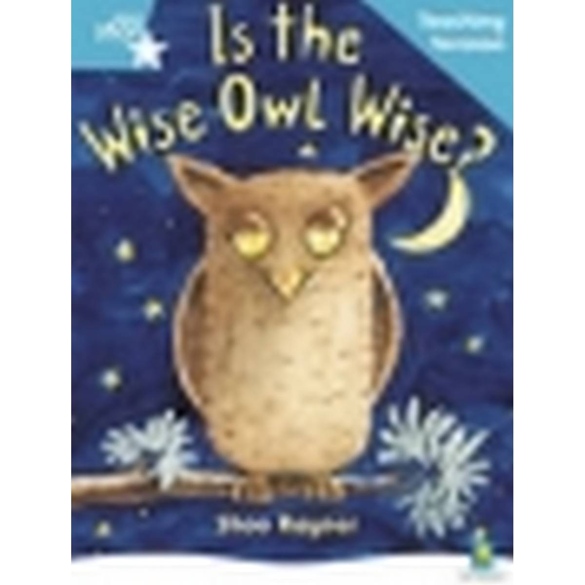 Rigby Star Guided Reading L08 Turquoise Set of 10