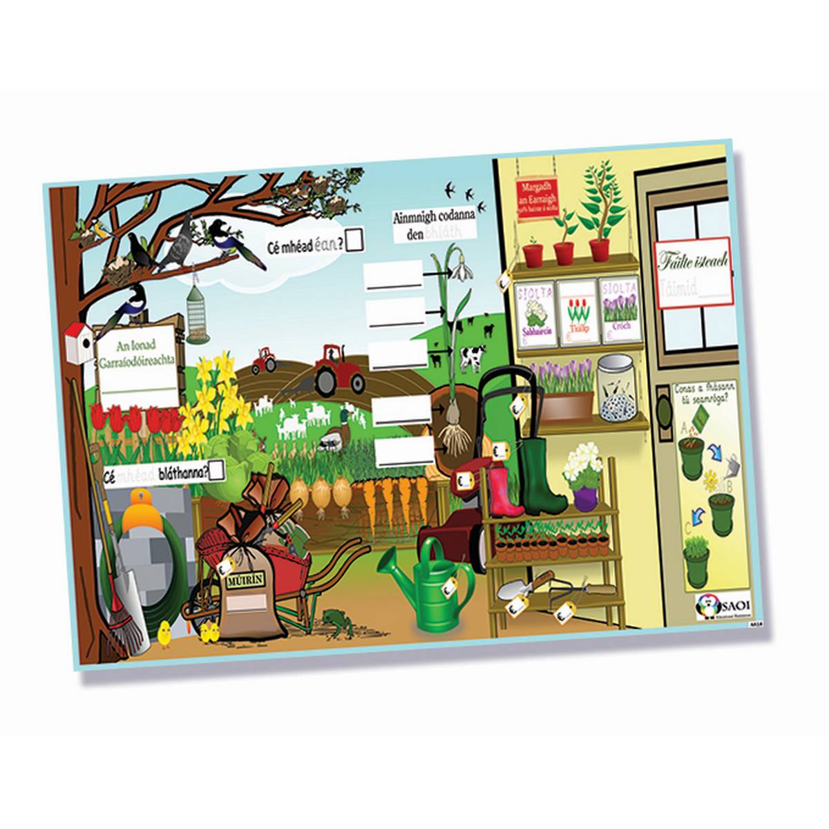 Aistear Activities Complete Kit in Irish