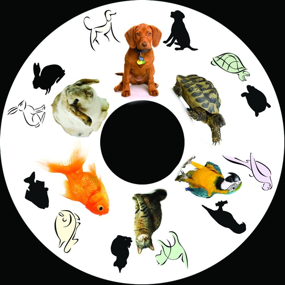 Projector Wheel 6 Inch - Pets Scene - ABC School Supplies