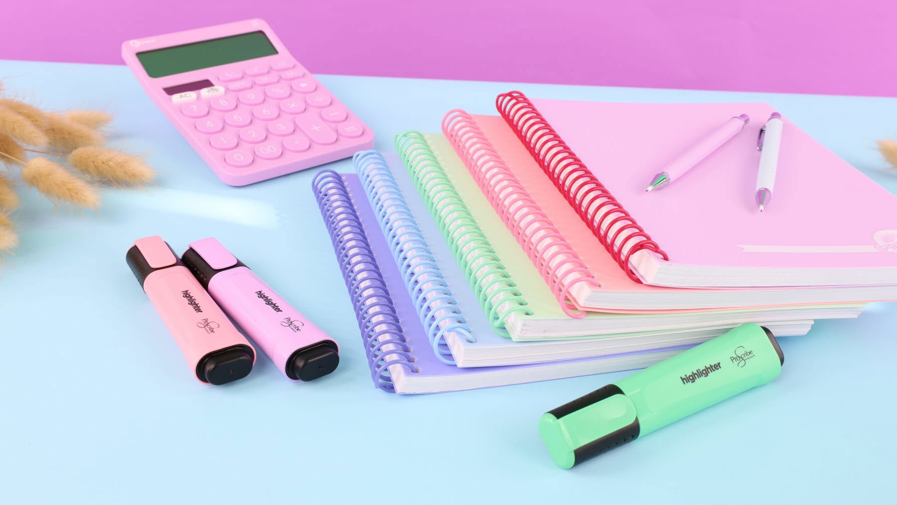 ProScribe Pastel Highlighters Pack of 5 - ABC School Supplies