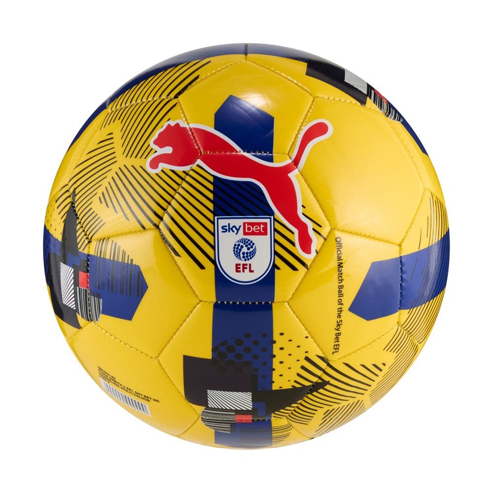 Puma Orbita 6 EFL Sky Bet Training Football 25/26 - ABC School Supplies