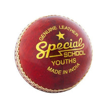 Readers Special School Cricket Ball - ABC School Supplies