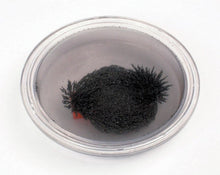 **Round Iron Filings Bubble - ABC School Supplies