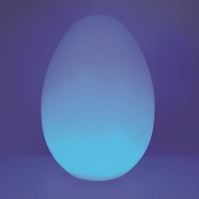 Sensory Glow Egg