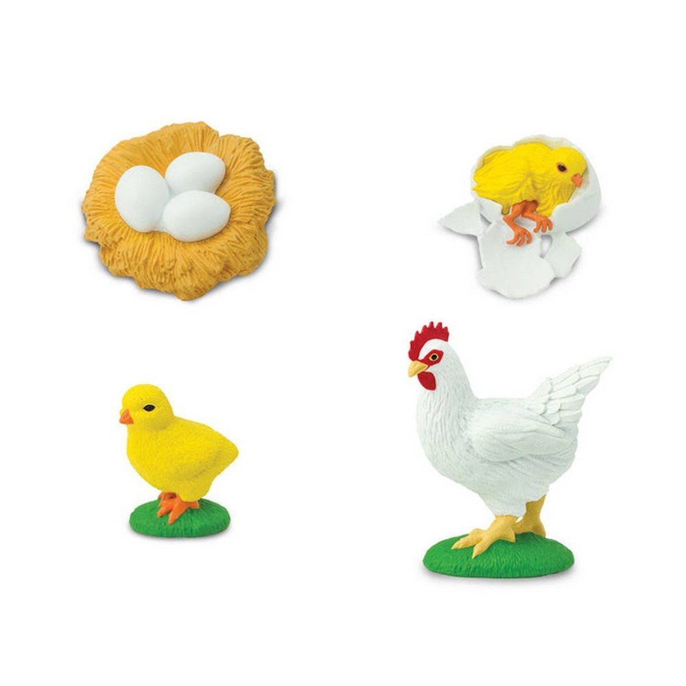 **Safari Life Cycle of a Chicken - ABC School Supplies