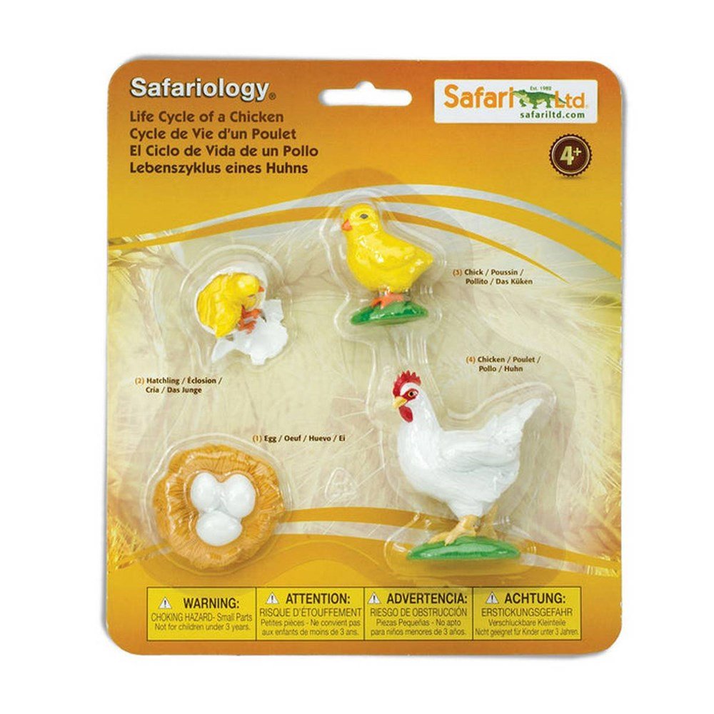 **Safari Life Cycle of a Chicken - ABC School Supplies