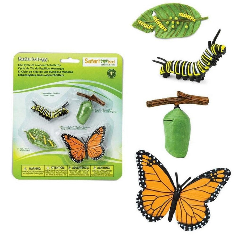 **Safari Life Cycle of a Monarch Butterfly - ABC School Supplies