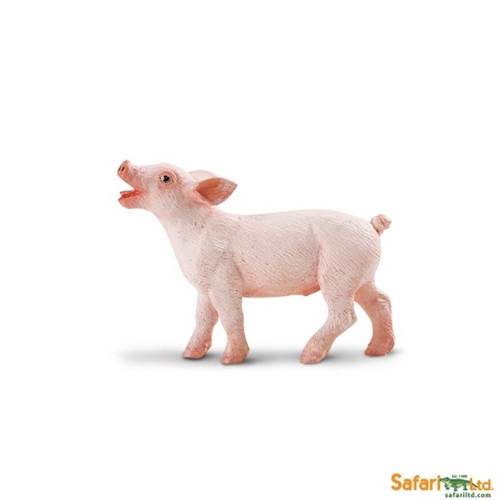 **Safari Piglet - ABC School Supplies