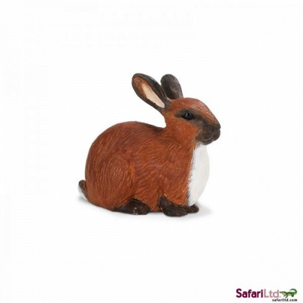 **Safari Rabbit - ABC School Supplies