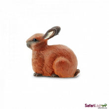 **Safari Rabbit - ABC School Supplies