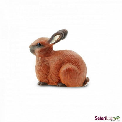 **Safari Rabbit - ABC School Supplies