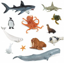 Safari Sea Life Set - ABC School Supplies