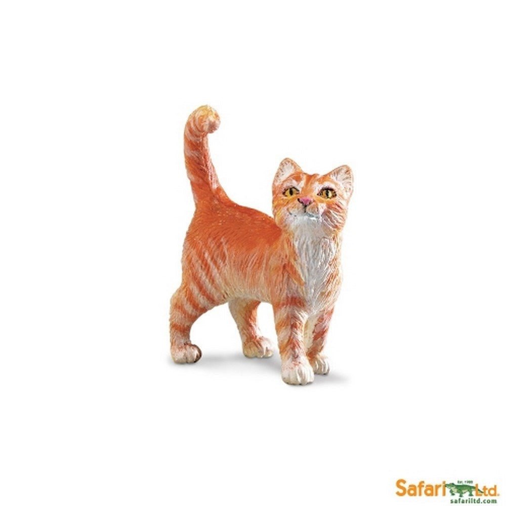 **Safari Tabby Cat - ABC School Supplies