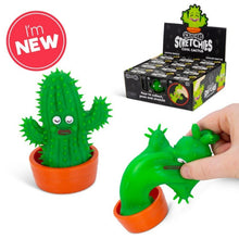 Scrunchems Stretchy Cool Cactus - ABC School Supplies