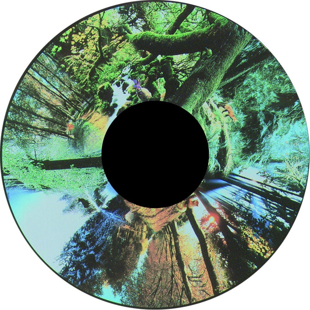 Seasoned Woods - Projection Sensory Toy - ABC School Supplies