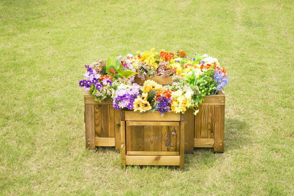 See - Through Plant Route Planter - ABC School Supplies