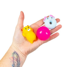 Sensory Squish Set - ABC School Supplies