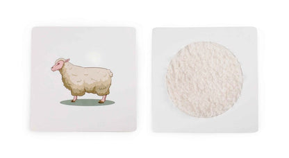 **Sensory Toys Textured Hand Feel Plates - ABC School Supplies