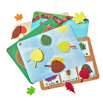 Sensory Leaves Math Activity Set