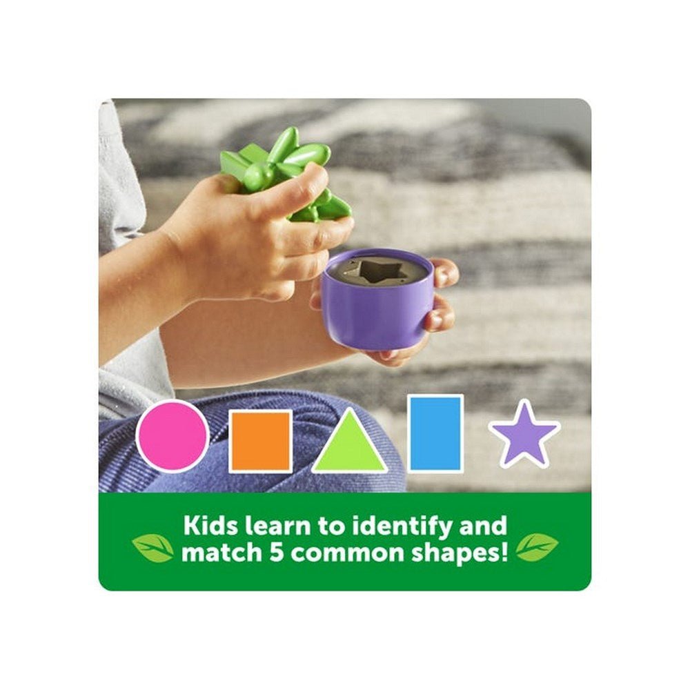 Shape & Colour Garden - ABC School Supplies