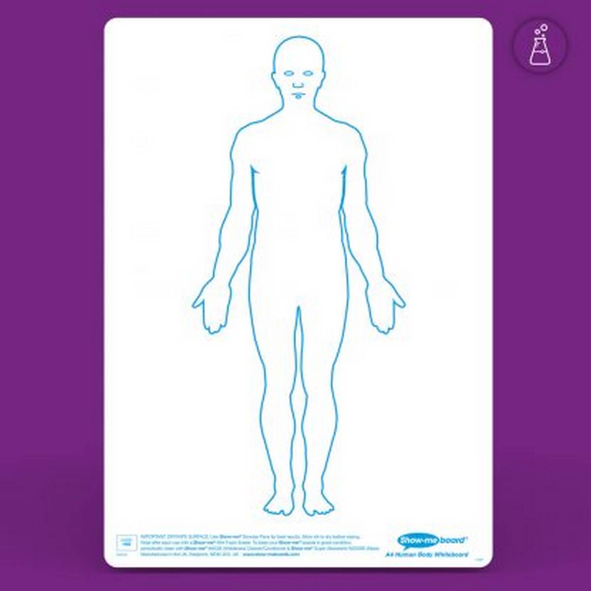 Show - Me Class Pack Drywipe Boards, Pens & Erasers - Human Muscle, A4 - 35 Sets - ABC School Supplies