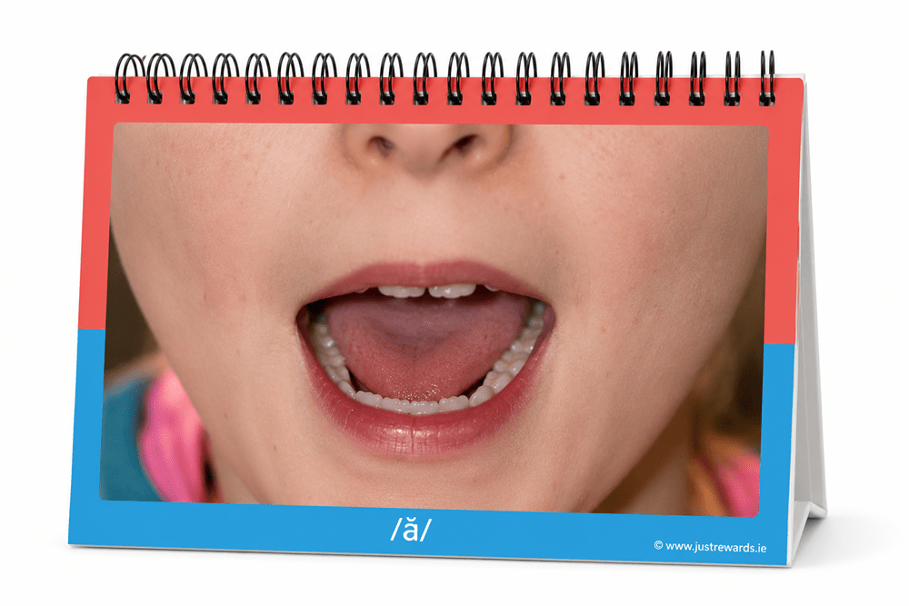 Sound It Out Flipbook - ABC School Supplies