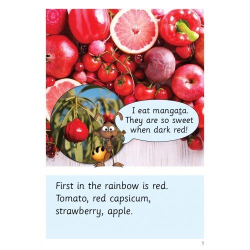 Speld Sa Phonic Books - Set 10 - (10 Titles) - ABC School Supplies