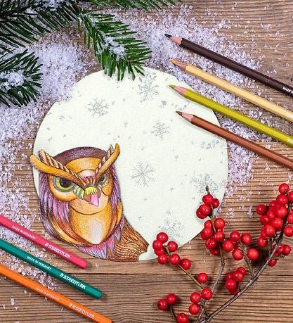 Staedtler 144 10NC12 Noris Aquarell Watercolour Pencils - Assorted Colours (Pack of 12) - ABC School Supplies