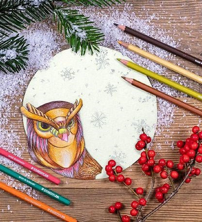 Staedtler 144 10NC12 Noris Aquarell Watercolour Pencils - Assorted Colours (Pack of 12) - ABC School Supplies