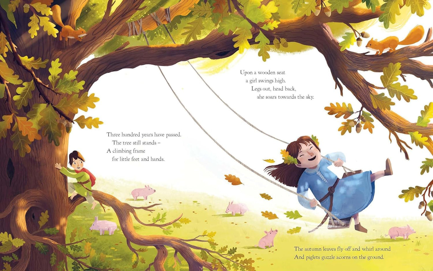 The Oak Tree Julia Donaldson - ABC School Supplies