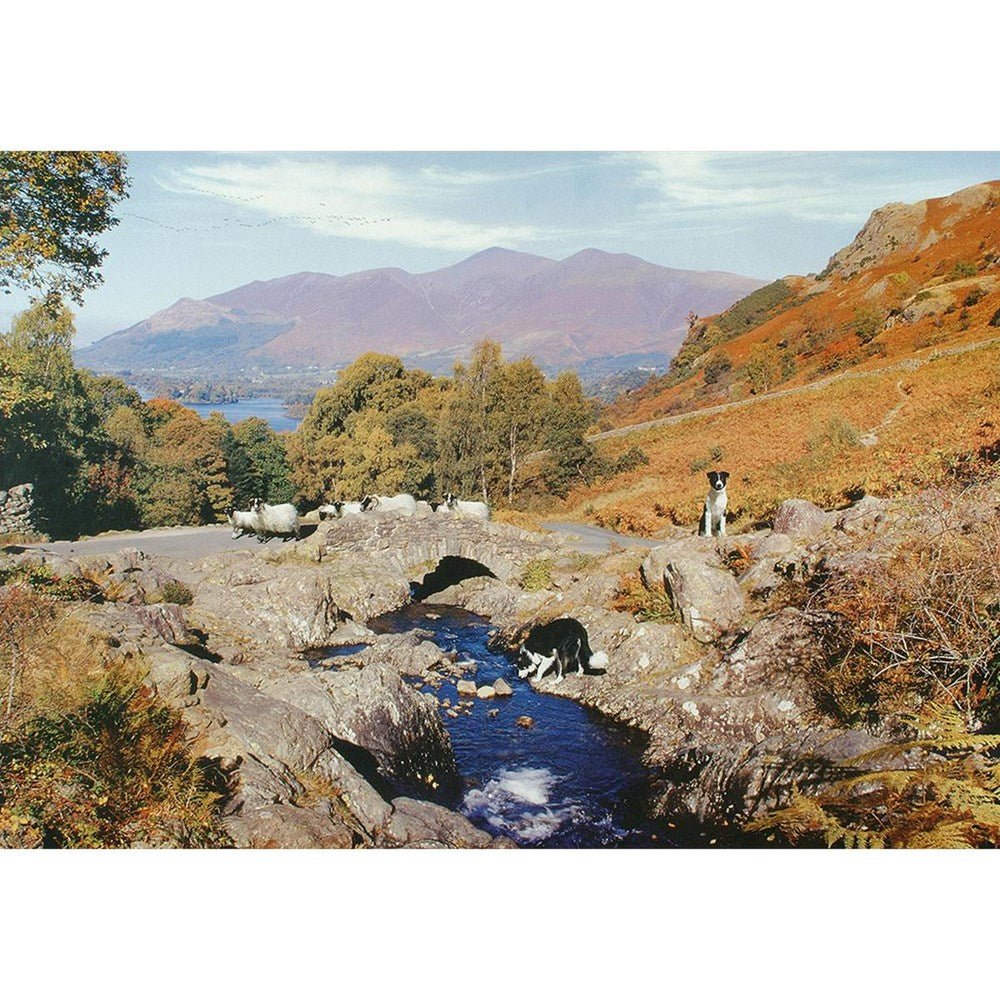 Thirsty Work - 1000 Piece Jigsaw Puzzle - ABC School Supplies