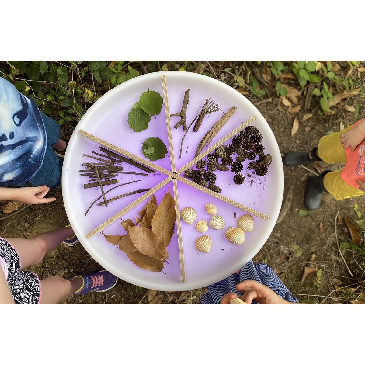 Tikkit Sensory Mood Discovery Table + Wooden Dividers Set - ABC School Supplies