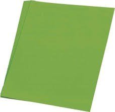 Tissue Paper (5 Sheets) - Light Green - ABC School Supplies