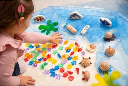 Translucent Colour Shells - ABC School Supplies