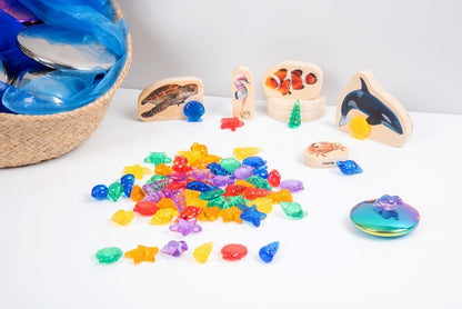 Translucent Colour Shells - ABC School Supplies