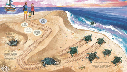 Turtle Rescue : A Wild Adventure To Save Our Sea Life - ABC School Supplies