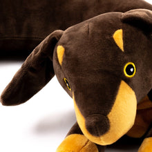 Weighted Dog Wrap - ABC School Supplies