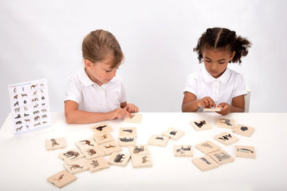 **Wild Animal Family Match Pack Of 28 - ABC School Supplies