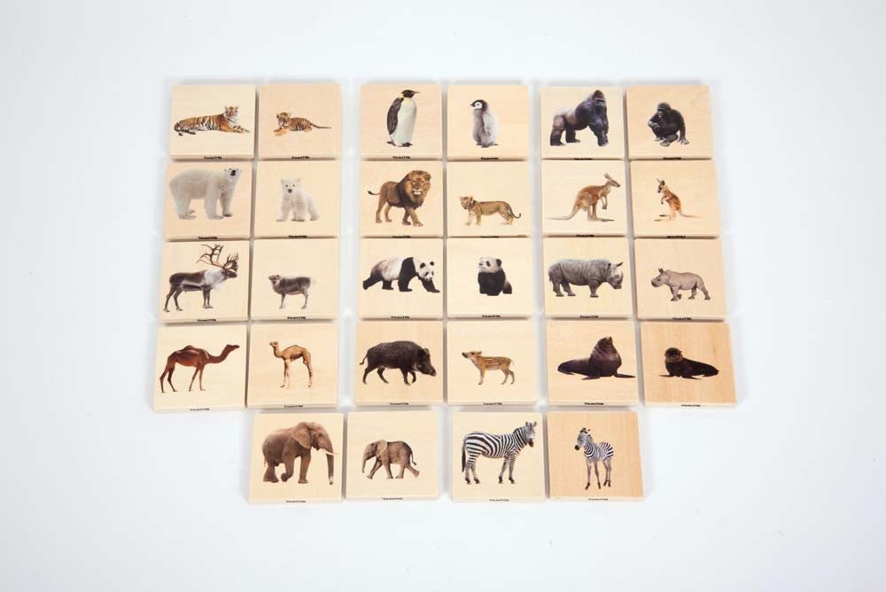 **Wild Animal Family Match Pack Of 28 - ABC School Supplies