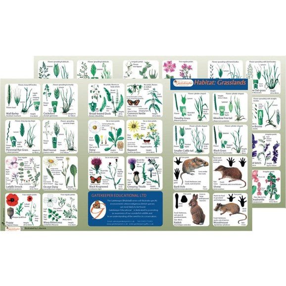 **Wildlife Habitat Guide: Grassland - ABC School Supplies