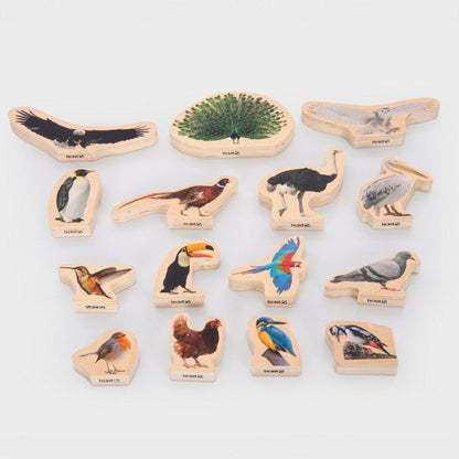 Wooden Bird Blocks 15 Pack - ABC School Supplies